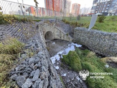 Межрайонная природоохранная прокуратура г. Москвы организовала проверку информации о возможном загрязнении водного объекта – реки Десна
